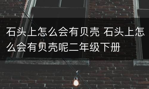 石头上怎么会有贝壳 石头上怎么会有贝壳呢二年级下册