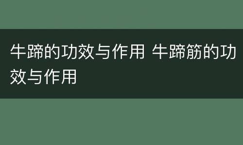 牛蹄的功效与作用 牛蹄筋的功效与作用