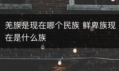 羌族是现在哪个民族 鲜卑族现在是什么族