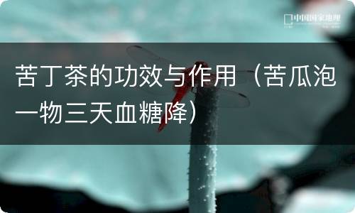 苦丁茶的功效与作用（苦瓜泡一物三天血糖降）