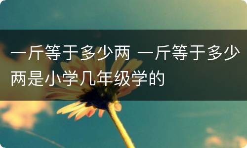 一斤等于多少两 一斤等于多少两是小学几年级学的