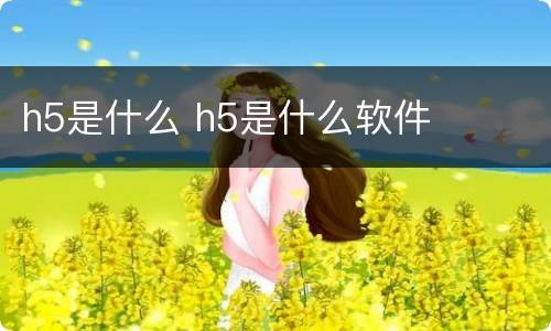 h5是什么 h5是什么软件