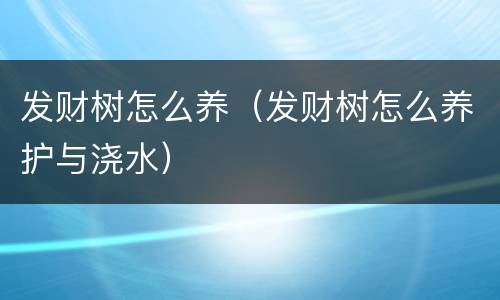 发财树怎么养（发财树怎么养护与浇水）