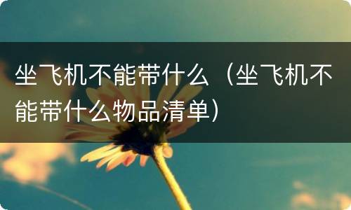 坐飞机不能带什么（坐飞机不能带什么物品清单）
