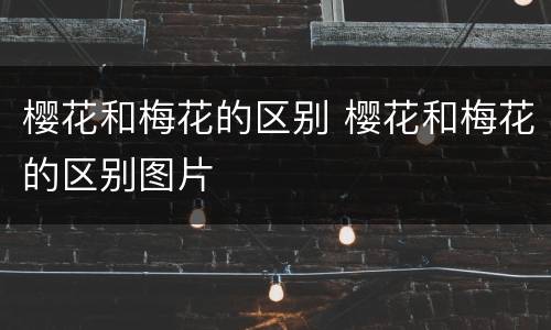 樱花和梅花的区别 樱花和梅花的区别图片