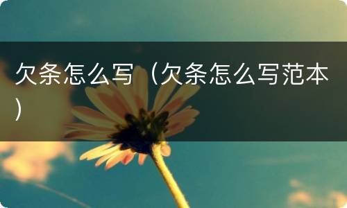 欠条怎么写（欠条怎么写范本）