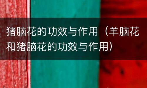 猪脑花的功效与作用（羊脑花和猪脑花的功效与作用）