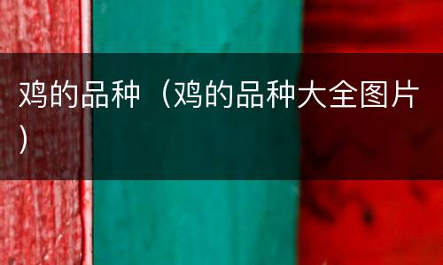 鸡的品种（鸡的品种大全图片）