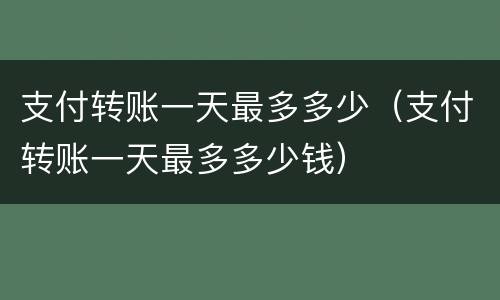 支付转账一天最多多少（支付转账一天最多多少钱）