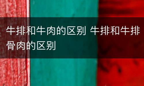 牛排和牛肉的区别 牛排和牛排骨肉的区别