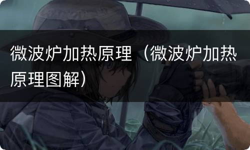 微波炉加热原理（微波炉加热原理图解）