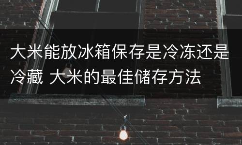 大米能放冰箱保存是冷冻还是冷藏 大米的最佳储存方法