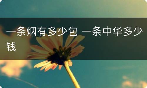 一条烟有多少包 一条中华多少钱