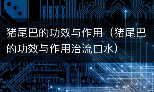 猪尾巴的功效与作用（猪尾巴的功效与作用治流口水）