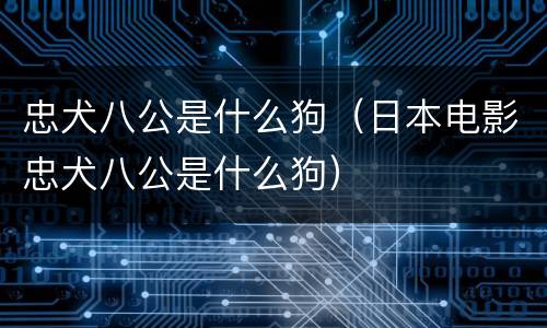 忠犬八公是什么狗（日本电影忠犬八公是什么狗）
