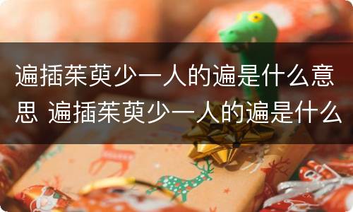 遍插茱萸少一人的遍是什么意思 遍插茱萸少一人的遍是什么意思解释