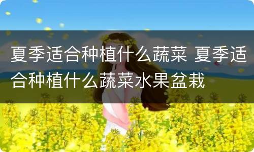 夏季适合种植什么蔬菜 夏季适合种植什么蔬菜水果盆栽