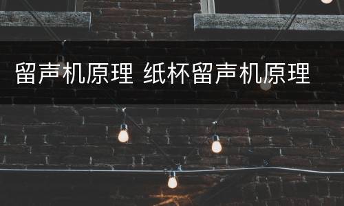 留声机原理 纸杯留声机原理