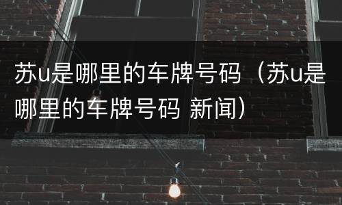 苏u是哪里的车牌号码（苏u是哪里的车牌号码 新闻）
