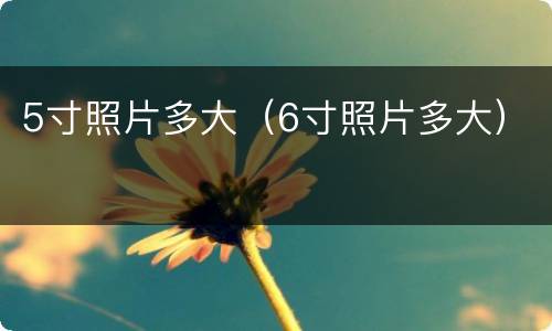 5寸照片多大（6寸照片多大）