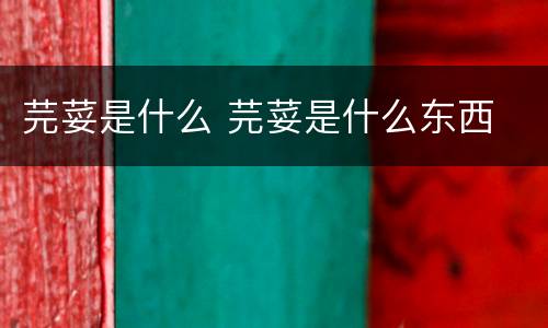 芫荽是什么 芫荽是什么东西