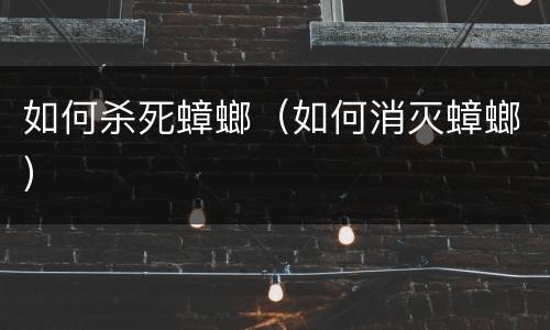 如何杀死蟑螂（如何消灭蟑螂）
