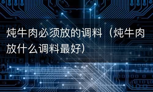 炖牛肉必须放的调料（炖牛肉放什么调料最好）