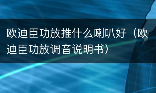 欧迪臣功放推什么喇叭好（欧迪臣功放调音说明书）