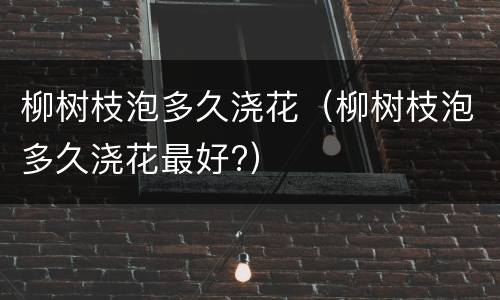柳树枝泡多久浇花（柳树枝泡多久浇花最好?）