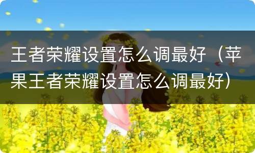王者荣耀设置怎么调最好（苹果王者荣耀设置怎么调最好）