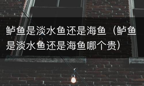 鲈鱼是淡水鱼还是海鱼（鲈鱼是淡水鱼还是海鱼哪个贵）