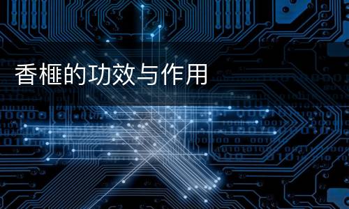 香榧的功效与作用