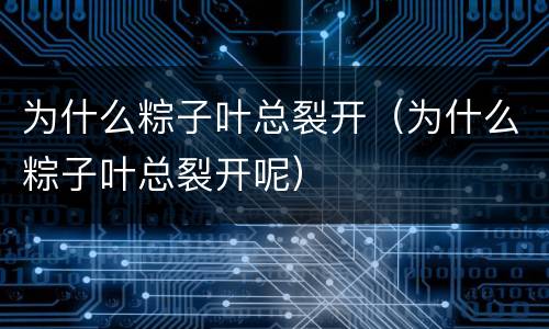 为什么粽子叶总裂开（为什么粽子叶总裂开呢）