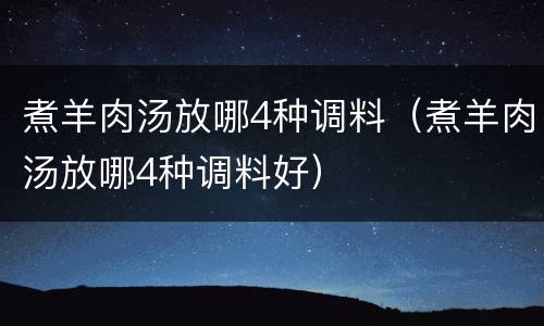 煮羊肉汤放哪4种调料（煮羊肉汤放哪4种调料好）