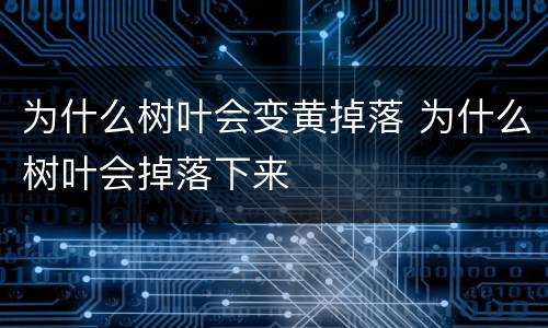 为什么树叶会变黄掉落 为什么树叶会掉落下来