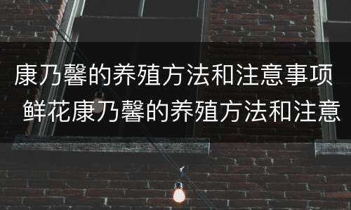 康乃馨的养殖方法和注意事项 鲜花康乃馨的养殖方法和注意事项
