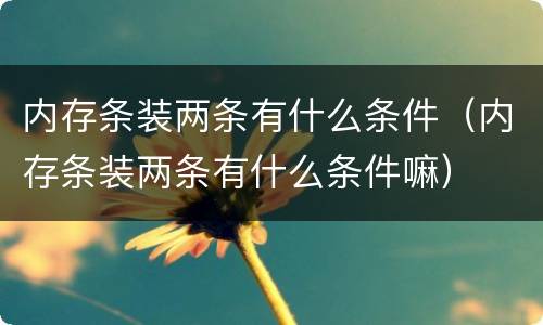 内存条装两条有什么条件（内存条装两条有什么条件嘛）