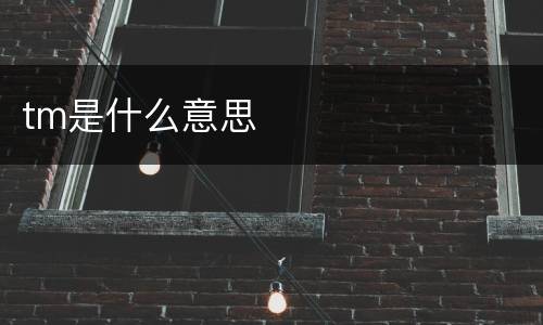 tm是什么意思