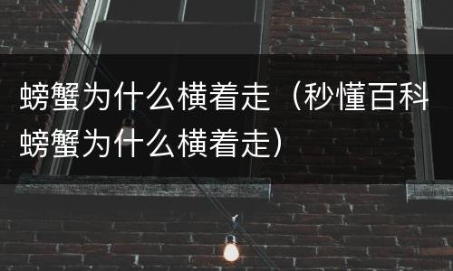 螃蟹为什么横着走（秒懂百科螃蟹为什么横着走）