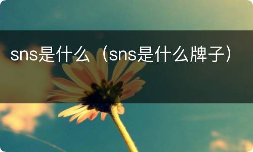 sns是什么（sns是什么牌子）