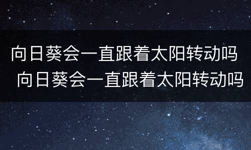 向日葵会一直跟着太阳转动吗 向日葵会一直跟着太阳转动吗