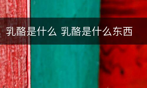 乳酪是什么 乳酪是什么东西