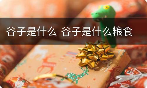 谷子是什么 谷子是什么粮食