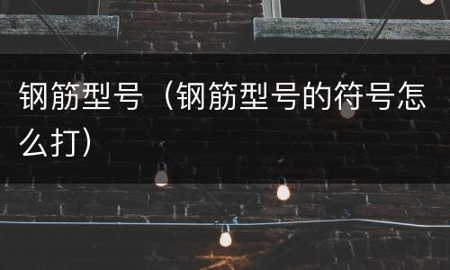 钢筋型号（钢筋型号的符号怎么打）