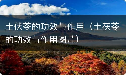 土伏苓的功效与作用（土茯苓的功效与作用图片）