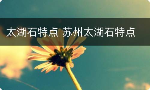 太湖石特点 苏州太湖石特点