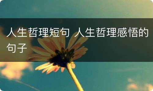人生哲理短句 人生哲理感悟的句子