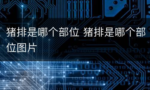 猪排是哪个部位 猪排是哪个部位图片