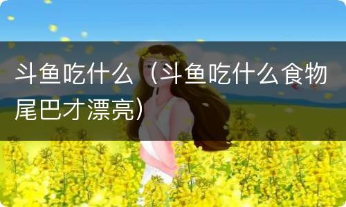 斗鱼吃什么（斗鱼吃什么食物尾巴才漂亮）