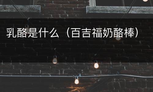 乳酪是什么（百吉福奶酪棒）